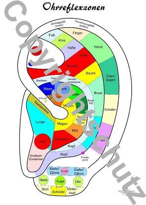 Reflexzonenübersicht – Ohr von Aeckersberg,  Tanja