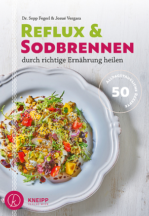 Reflux und Sodbrennen durch richtige Ernährung heilen von Fegerl,  Sepp, Vergara,  Josue