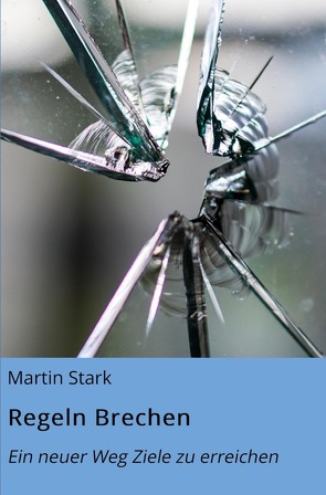 Regeln Brechen von Stark,  Martin