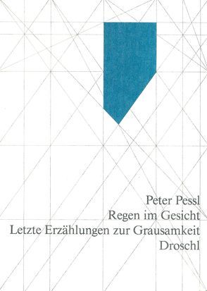 Regen im Gesicht von Pessl,  Peter