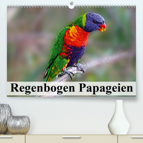 Regenbogen Papageien (Premium, hochwertiger DIN A2 Wandkalender 2021, Kunstdruck in Hochglanz) von Stanzer,  Elisabeth