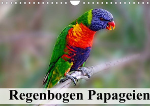 Regenbogen Papageien (Wandkalender 2022 DIN A4 quer) von Stanzer,  Elisabeth