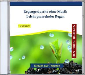 Regengeräusche ohne Musik – Leicht prasselnder Regen