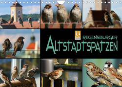 Regensburger Altstadtspatzen (Wandkalender 2022 DIN A4 quer) von Bleicher,  Renate