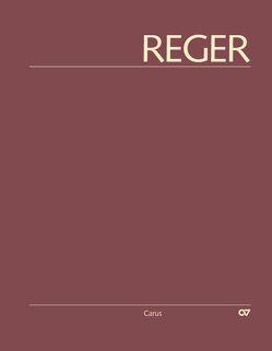 Reger-Werkausgabe, Bd. II/8 von Becker,  Alexander, Grafschmidt,  Christopher, Koenig,  Stefan, Steiner-Grage,  Stefanie