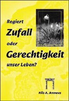 Regiert Zufall oder Gerechtigkeit unser Leben? von Amneus,  Nils A