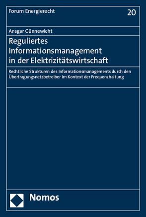 Reguliertes Informationsmanagement in der Elektrizitätswirtschaft von Günnewicht,  Ansgar