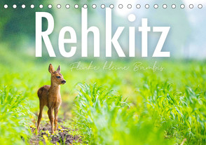 Rehkitz – Flinke kleine Bambis. (Tischkalender 2023 DIN A5 quer) von SF