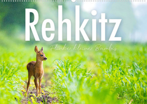 Rehkitz – Flinke kleine Bambis. (Wandkalender 2023 DIN A2 quer) von SF