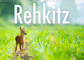 Rehkitz – Flinke kleine Bambis. (Wandkalender 2023 DIN A3 quer) von SF