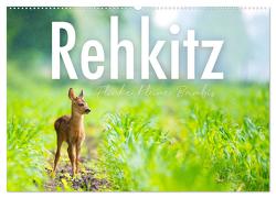 Rehkitz – Flinke kleine Bambis. (Wandkalender 2024 DIN A2 quer), CALVENDO Monatskalender von SF,  SF