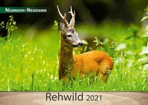 Rehwild 2021