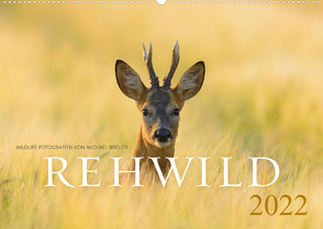 Rehwild 2022 (Wandkalender 2022 DIN A2 quer) von Breuer,  Michael