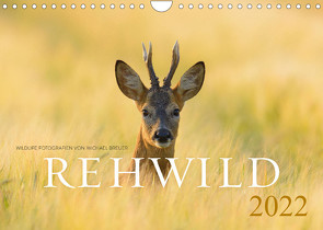 Rehwild 2022 (Wandkalender 2022 DIN A4 quer) von Breuer,  Michael