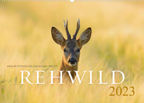 Rehwild 2023 (Wandkalender 2023 DIN A2 quer) von Breuer,  Michael