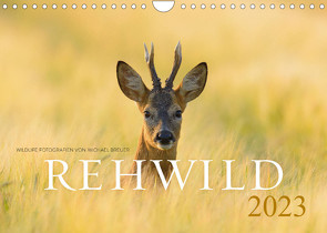 Rehwild 2023 (Wandkalender 2023 DIN A4 quer) von Breuer,  Michael