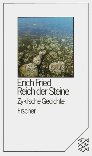 Reich der Steine von Fried,  Erich