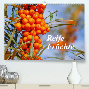 Reife Früchte (Premium, hochwertiger DIN A2 Wandkalender 2023, Kunstdruck in Hochglanz) von LianeM