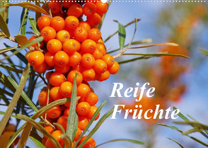 Reife Früchte (Wandkalender 2023 DIN A2 quer) von LianeM