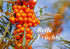 Reife Früchte (Wandkalender 2023 DIN A3 quer) von LianeM