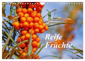 Reife Früchte (Wandkalender 2024 DIN A4 quer), CALVENDO Monatskalender von LianeM,  LianeM