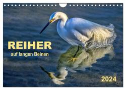 Reiher – auf langen Beinen (Wandkalender 2024 DIN A4 quer), CALVENDO Monatskalender von Roder,  Peter