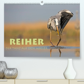 Reiher – Der Tanz auf dem Wasser (Premium, hochwertiger DIN A2 Wandkalender 2023, Kunstdruck in Hochglanz) von Peyer,  Stephan