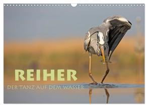 Reiher – Der Tanz auf dem Wasser (Wandkalender 2024 DIN A3 quer), CALVENDO Monatskalender von Peyer,  Stephan