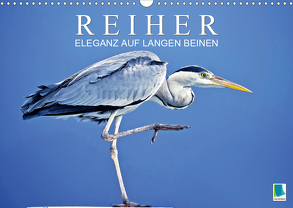 Reiher: Eleganz auf langen Beinen (Wandkalender 2020 DIN A3 quer) von CALVENDO