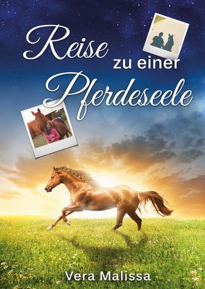 Reise zu einer Pferdeseele von Malissa,  Vera