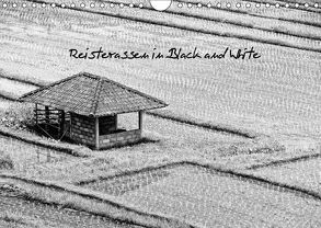 Reisterassen in Black and White (Wandkalender 2018 DIN A4 quer) von Stephan,  Elisabeth