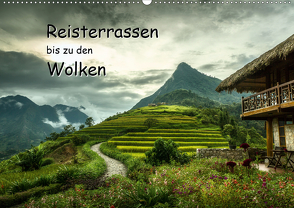 Reisterrassen bis zu den Wolken (Wandkalender 2020 DIN A2 quer) von Gundlach,  Joerg