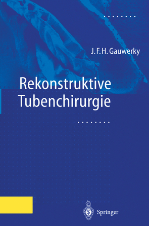 Rekonstruktive Tubenchirurgie von Gauwerky,  Johannes F.H.