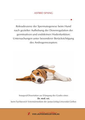 Rekrudeszenz der Spermatogenese beim Hund nach gezielter Aufhebung der Downregulation der germinativen und endokrinen Hodenfunktion: Untersuchungen unter besonderer Berücksichtigung des Androgenrezeptors von Spang,  Astrid