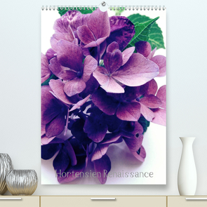 Renaissance der Hortensie (Premium, hochwertiger DIN A2 Wandkalender 2022, Kunstdruck in Hochglanz) von Grobelny,  Renate