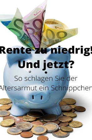 Rente zu niedrig? Und jetzt! von Schmitt,  Peter