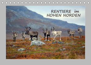 Rentiere im Hohen Norden (Tischkalender 2023 DIN A5 quer) von GUGIGEI