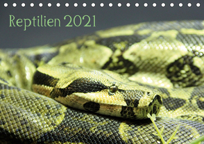 Reptilien 2021 (Tischkalender 2021 DIN A5 quer) von lajavi.com