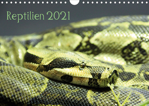 Reptilien 2021 (Wandkalender 2021 DIN A4 quer) von lajavi.com