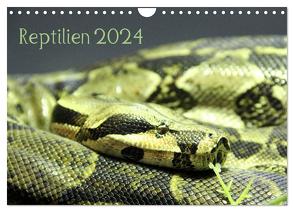 Reptilien 2024 (Wandkalender 2024 DIN A4 quer), CALVENDO Monatskalender von lajavi.com,  lajavi.com