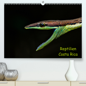 Reptilien Costa Rica (Premium, hochwertiger DIN A2 Wandkalender 2021, Kunstdruck in Hochglanz) von Dummermuth,  Stefan