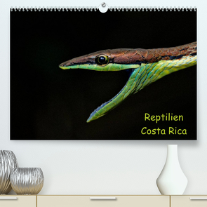 Reptilien Costa Rica (Premium, hochwertiger DIN A2 Wandkalender 2022, Kunstdruck in Hochglanz) von Dummermuth,  Stefan