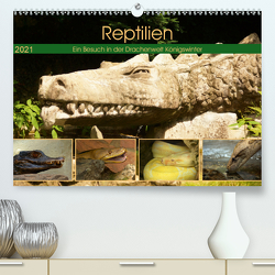 Reptilien. Ein Besuch in der Drachenwelt Königswinter (Premium, hochwertiger DIN A2 Wandkalender 2021, Kunstdruck in Hochglanz) von Stoerti-md