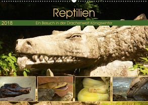 Reptilien. Ein Besuch in der Drachenwelt Königswinter (Wandkalender 2018 DIN A2 quer) von Stoerti-md