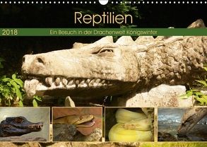 Reptilien. Ein Besuch in der Drachenwelt Königswinter (Wandkalender 2018 DIN A3 quer) von Stoerti-md