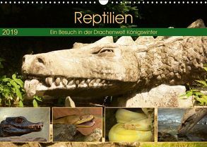 Reptilien. Ein Besuch in der Drachenwelt Königswinter (Wandkalender 2019 DIN A3 quer) von Stoerti-md