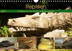 Reptilien. Ein Besuch in der Drachenwelt Königswinter (Wandkalender 2021 DIN A4 quer) von Stoerti-md