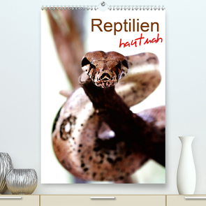 Reptilien hautnah (Premium, hochwertiger DIN A2 Wandkalender 2020, Kunstdruck in Hochglanz) von Mosert,  Stefan