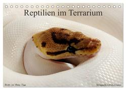 REPTILIEN IM TERRARIUM (Tischkalender 2024 DIN A5 quer), CALVENDO Monatskalender von Trapp,  Benny