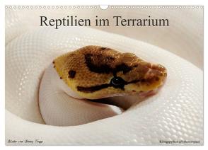 REPTILIEN IM TERRARIUM (Wandkalender 2024 DIN A3 quer), CALVENDO Monatskalender von Trapp,  Benny